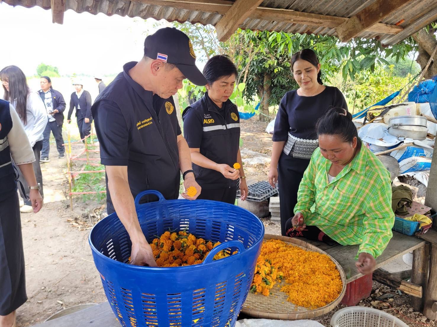 title - ผู้ตรวจราชการกรม ประชุมติดตามผลการดำเนินงานตามแผนการตรวจราชการของ ส.ป.ก. ประจำปีงบประมาณ พ.ศ. 2569 รอบที่ 1 จังหวัดอุทัยธานี